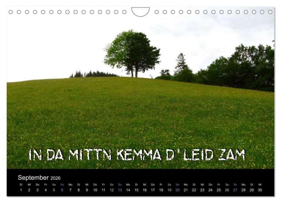 additionalImage14