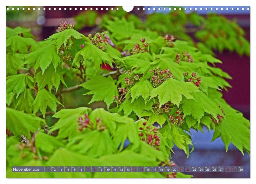 additionalImage3