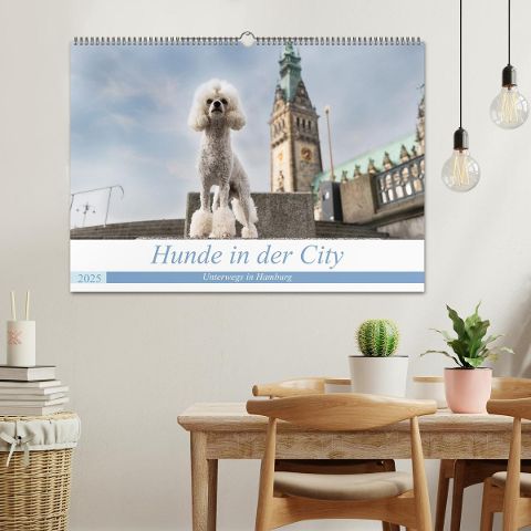 additionalImage1