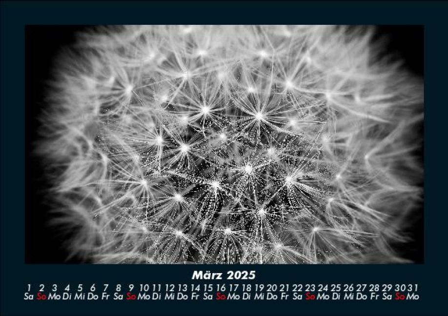 additionalImage7