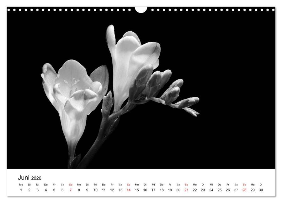 additionalImage11