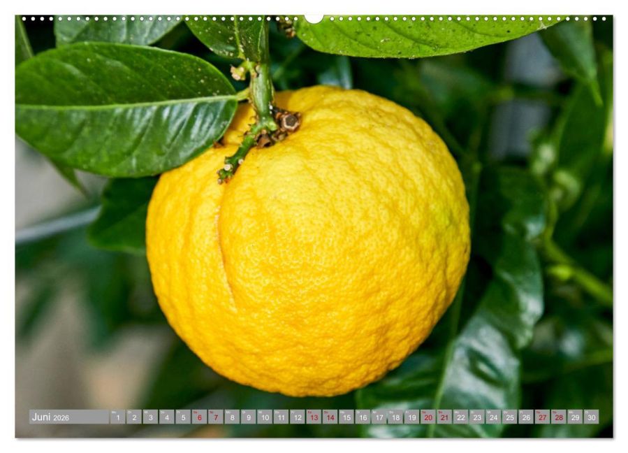 additionalImage11