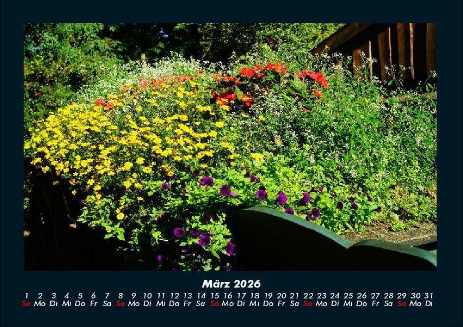 additionalImage7