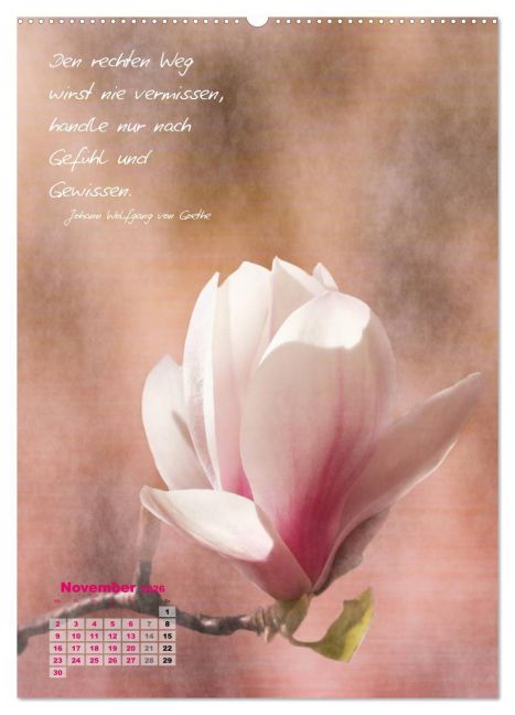 additionalImage3