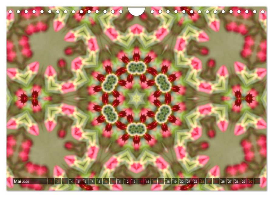 additionalImage10