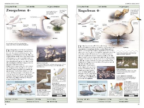 additionalImage3
