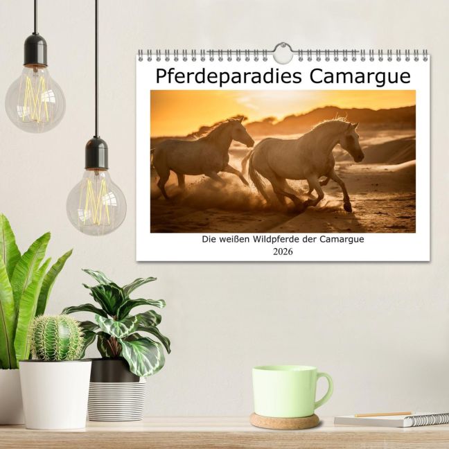 additionalImage1