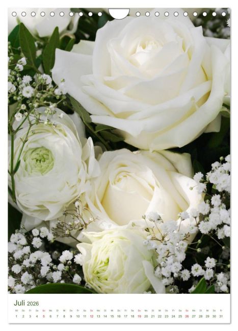 additionalImage12