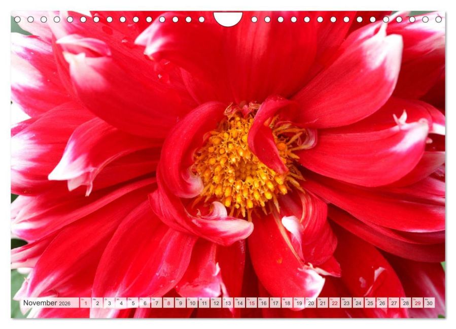 additionalImage3