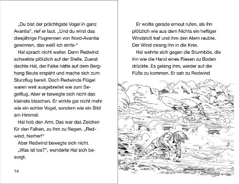additionalImage2