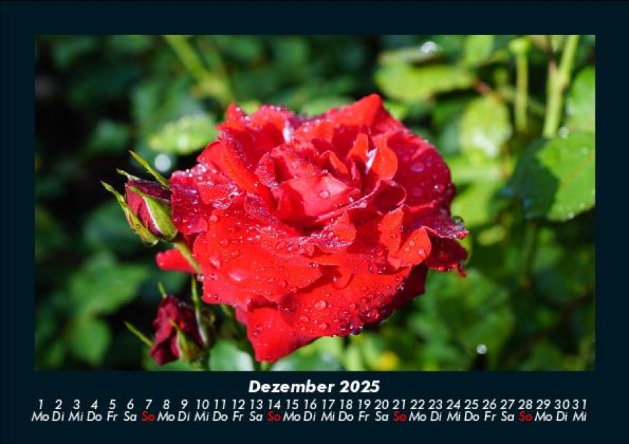 additionalImage4