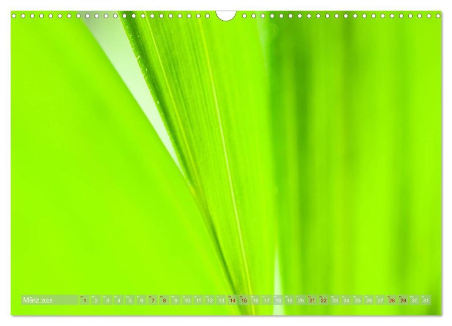 additionalImage8