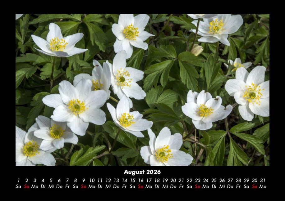 additionalImage12