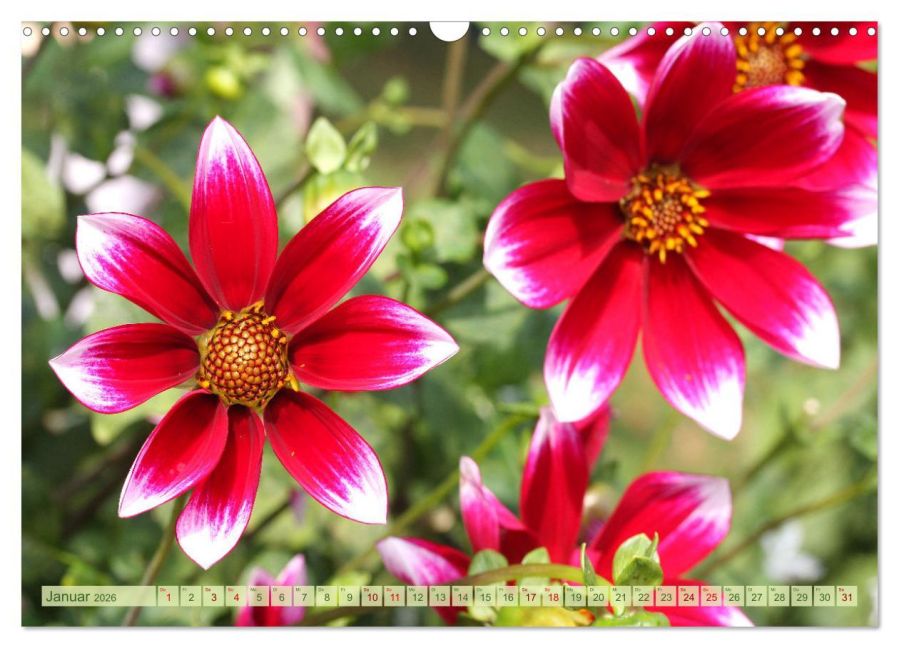 additionalImage6