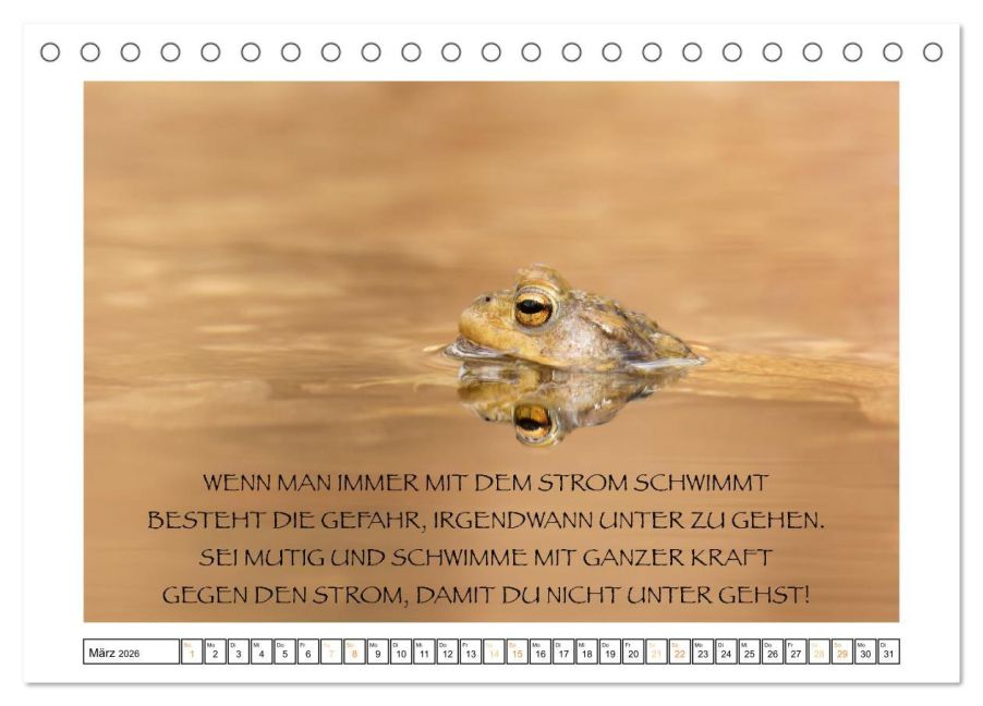 additionalImage8
