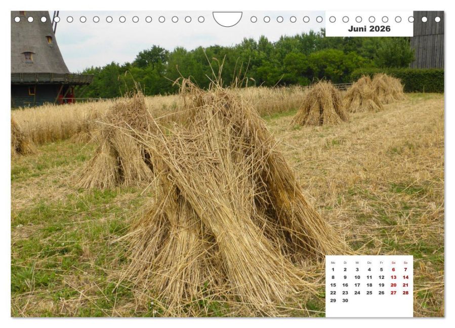 additionalImage11