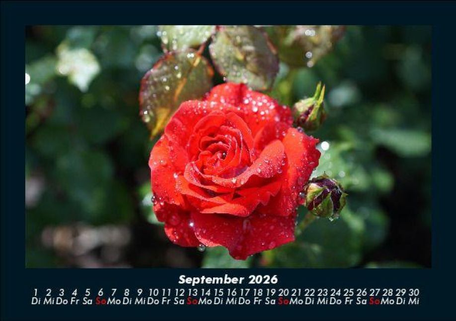additionalImage1