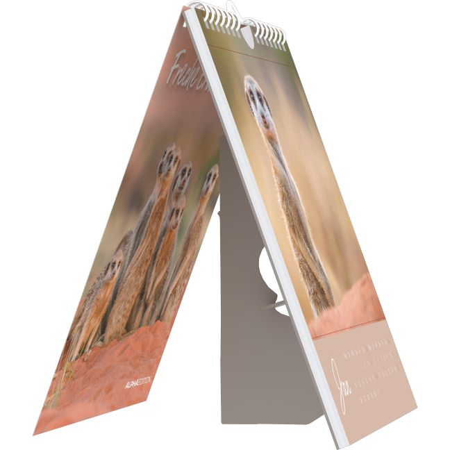 additionalImage4