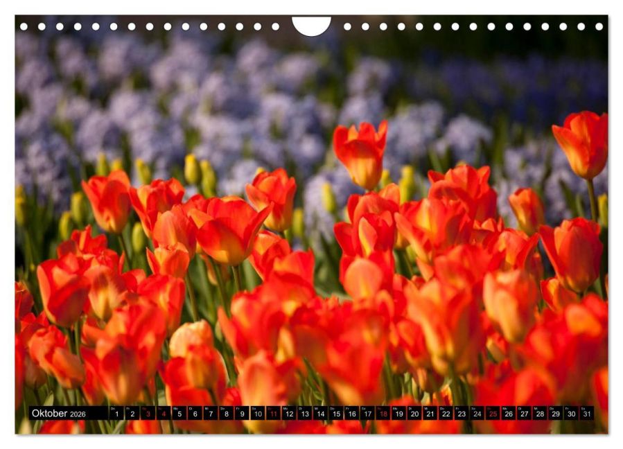 additionalImage2
