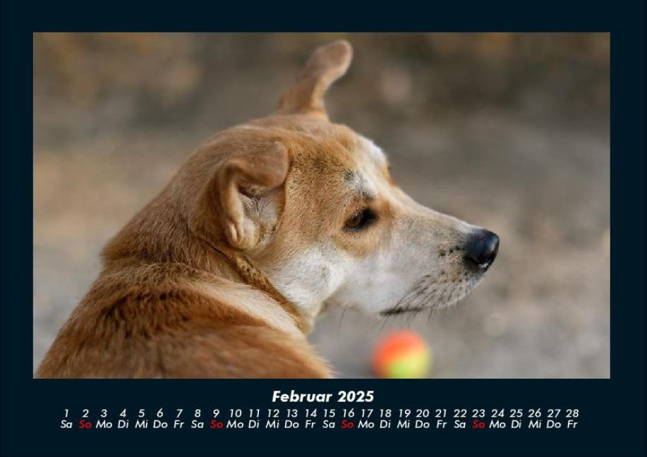 additionalImage6