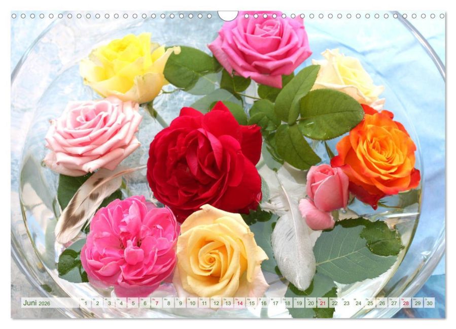 additionalImage11