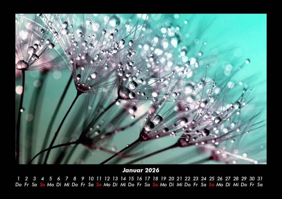 additionalImage5