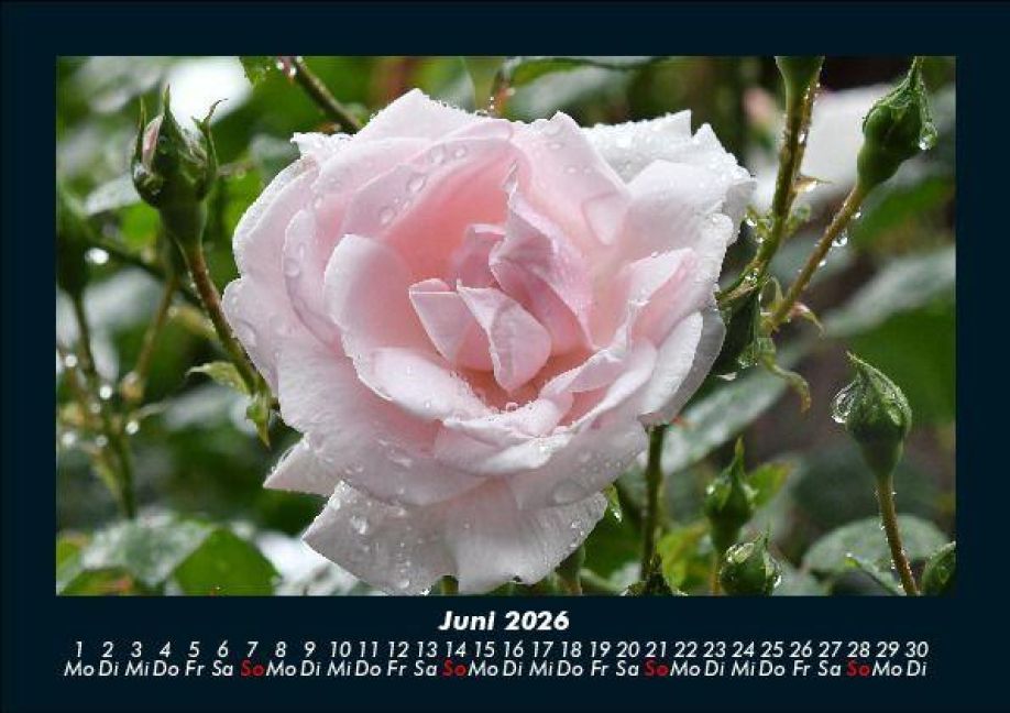 additionalImage10