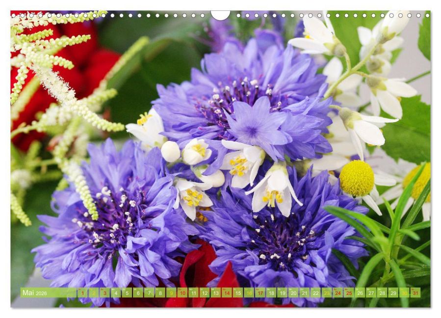 additionalImage10