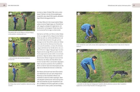 additionalImage3