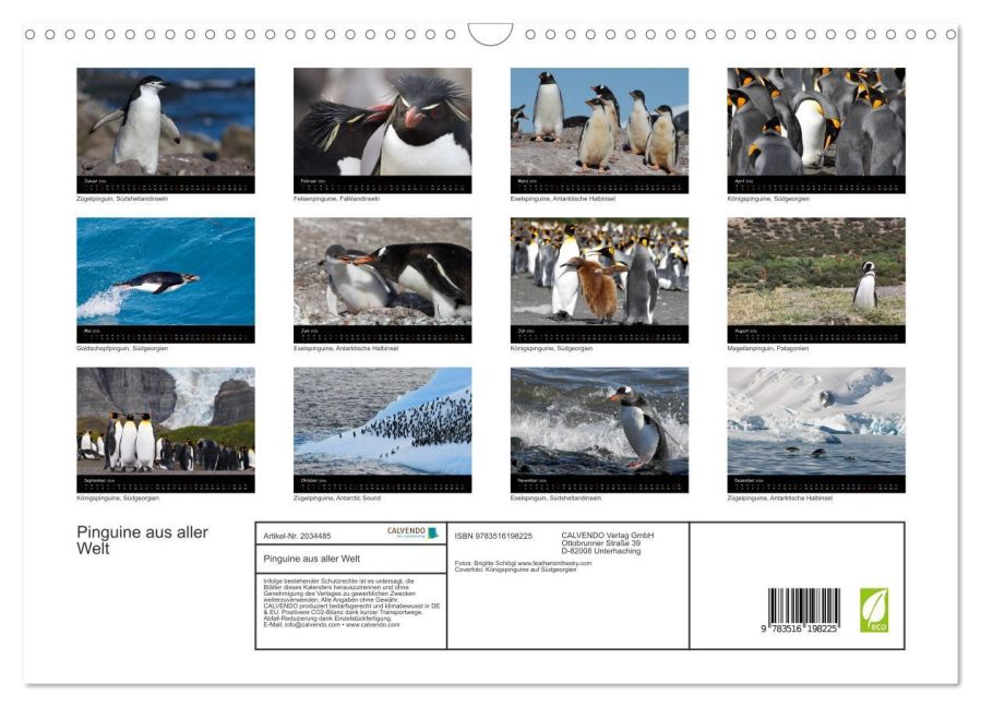 additionalImage5