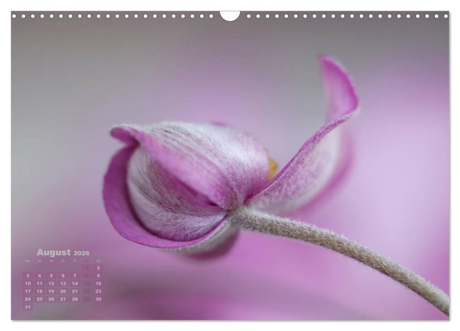 additionalImage13