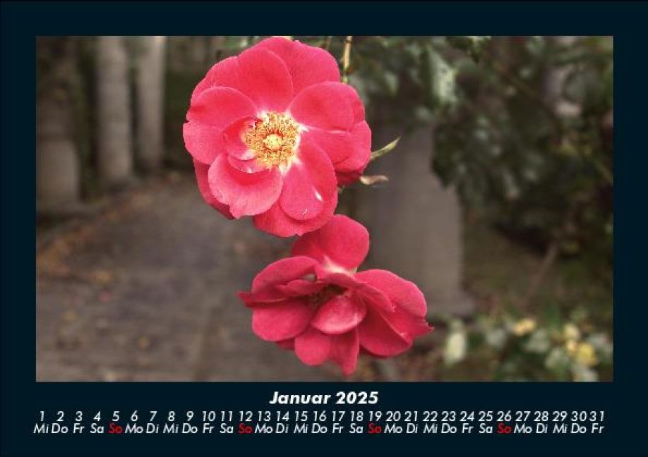 additionalImage5