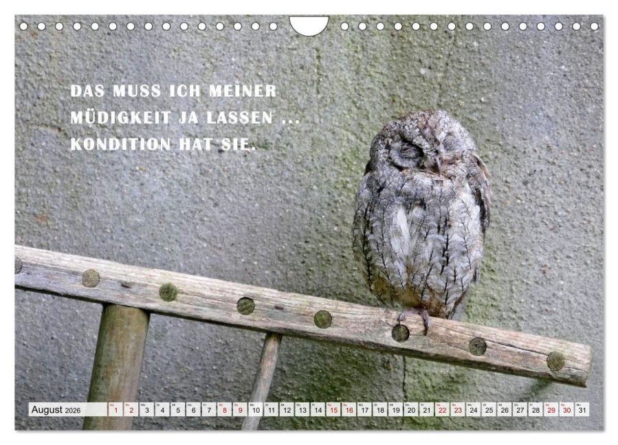 additionalImage13