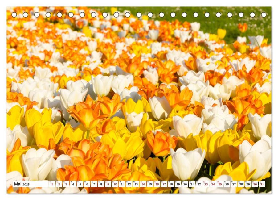 additionalImage10