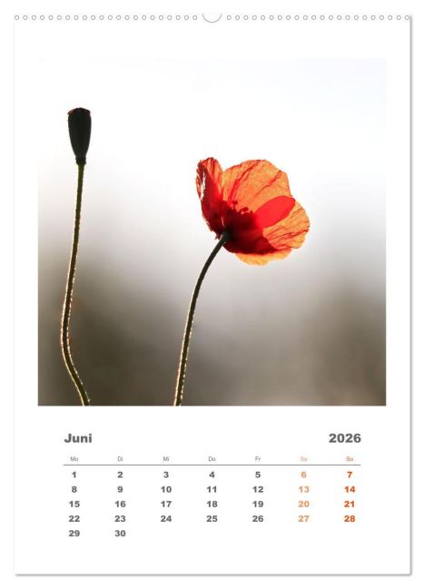 additionalImage11