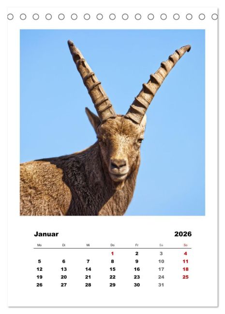 additionalImage6