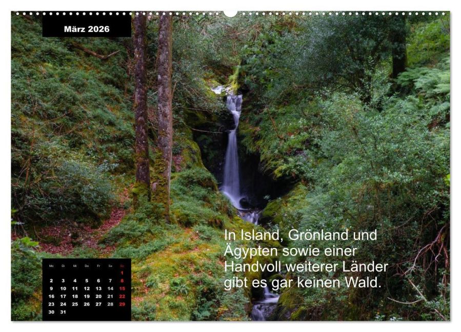 additionalImage8