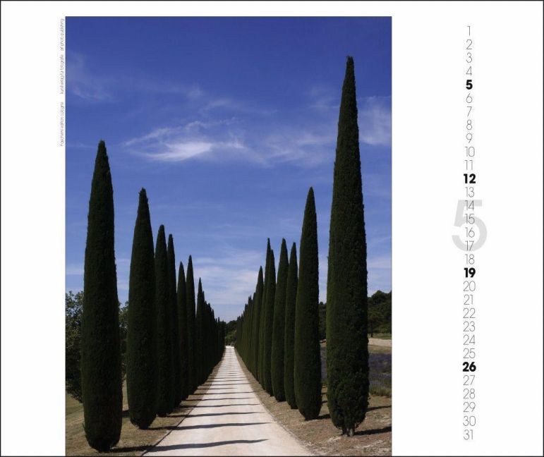 additionalImage5