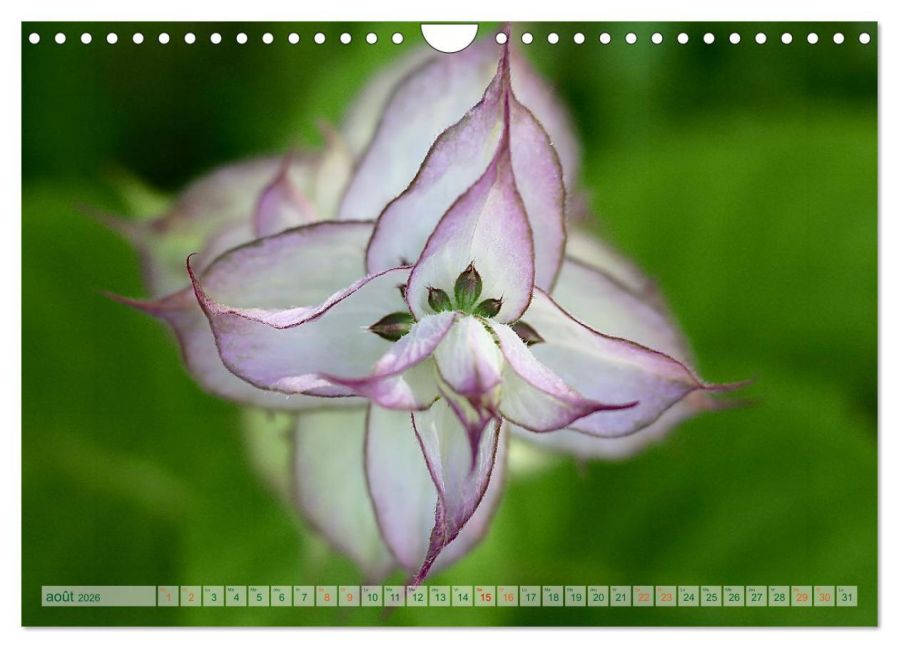 additionalImage13