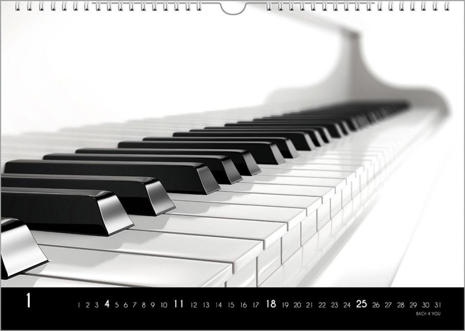 additionalImage1