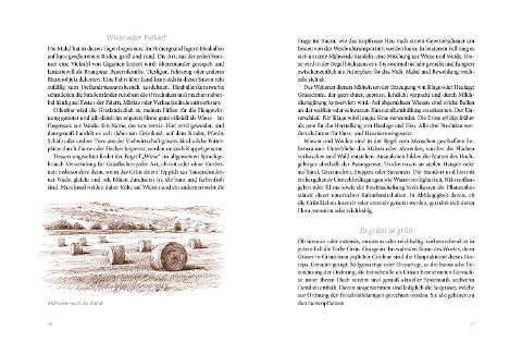additionalImage2