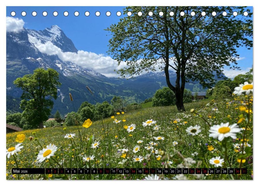 additionalImage10