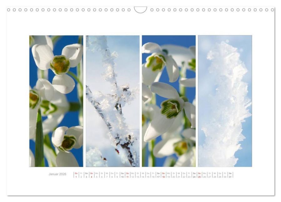 additionalImage6