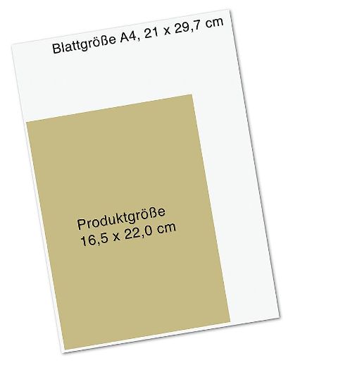 additionalImage8