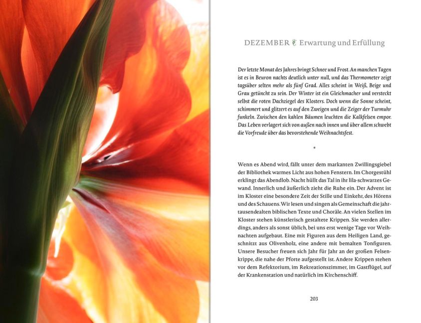additionalImage11
