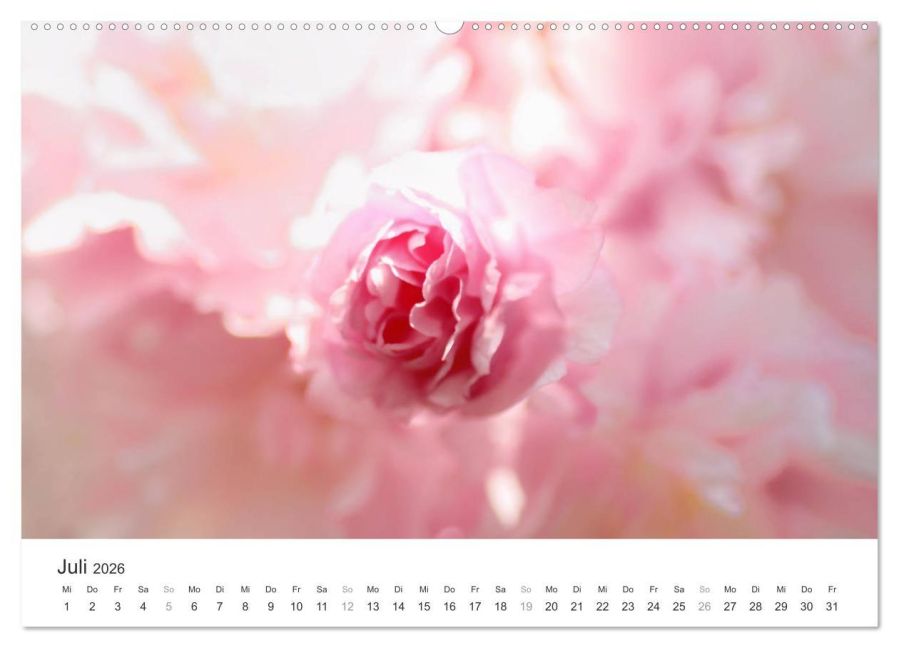 additionalImage12