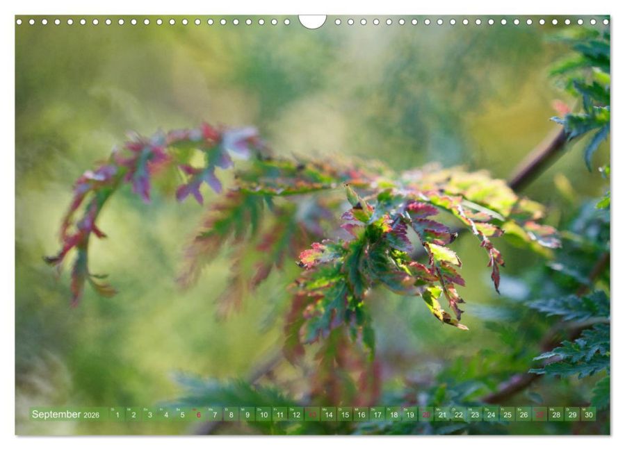 additionalImage14