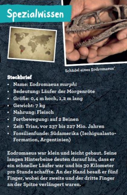 additionalImage6