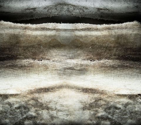 additionalImage1