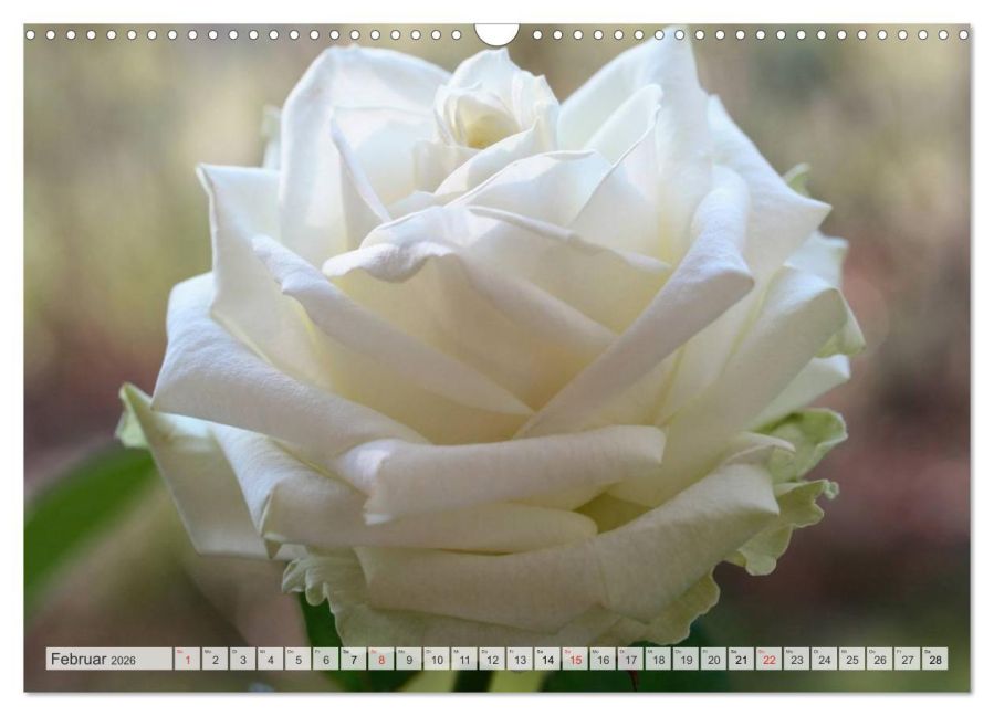 additionalImage7